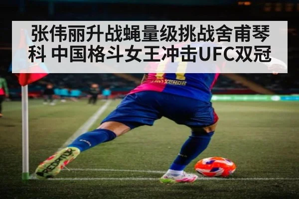 张伟丽升战蝇量级挑战舍甫琴科 中国格斗女王冲击UFC双冠